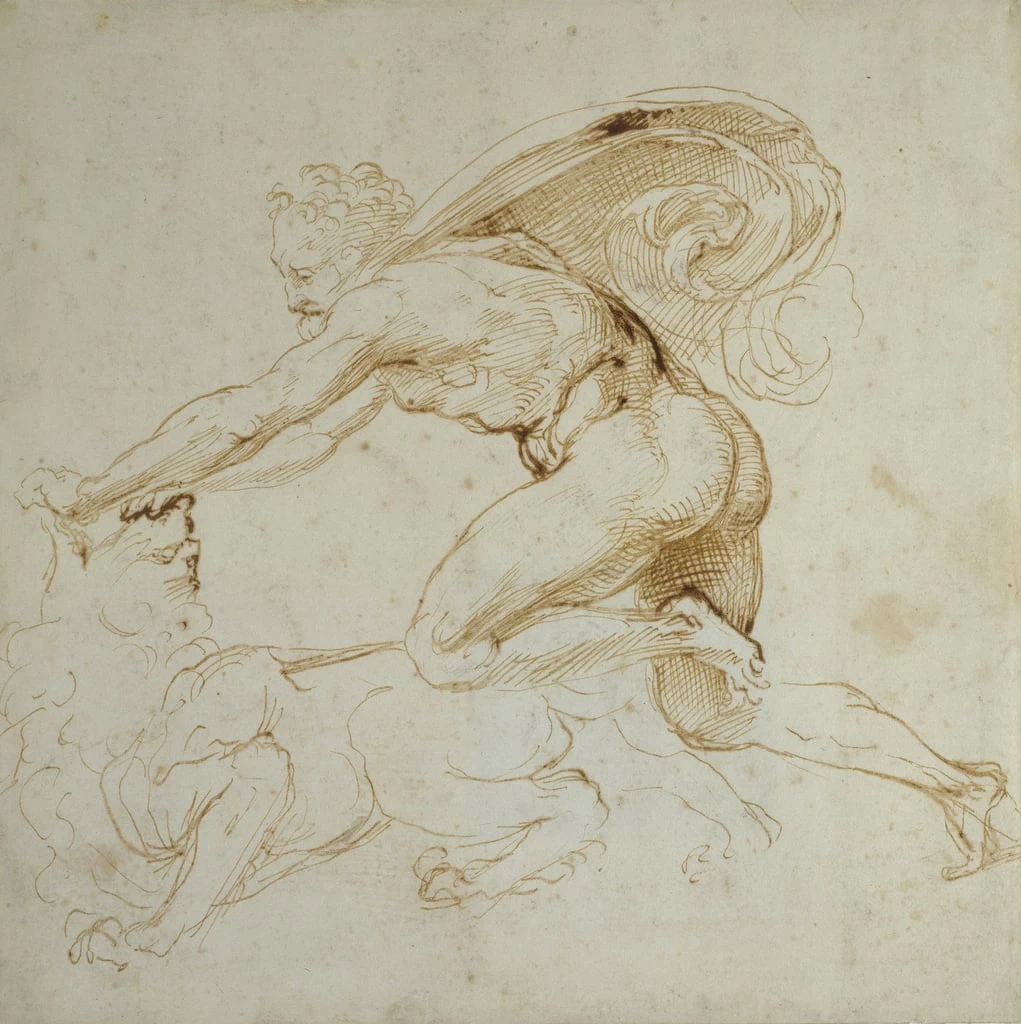 Sanzio - Ercole contro il leone, Ashmolean Museum, University of Oxford